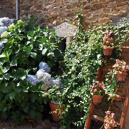 Domaine De Lasfonds Rieupeyroux (Aveyron)