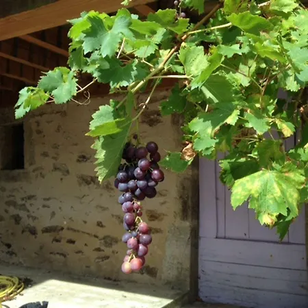 Domaine De Lasfonds 리우페로