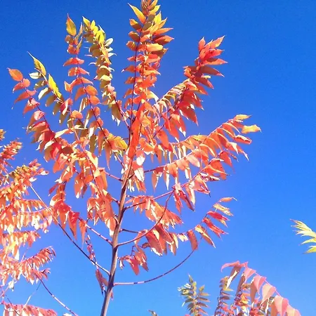 Domaine De Lasfonds 3* Previnquieres