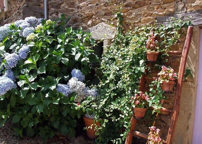 Domaine De Lasfonds Previnquieres